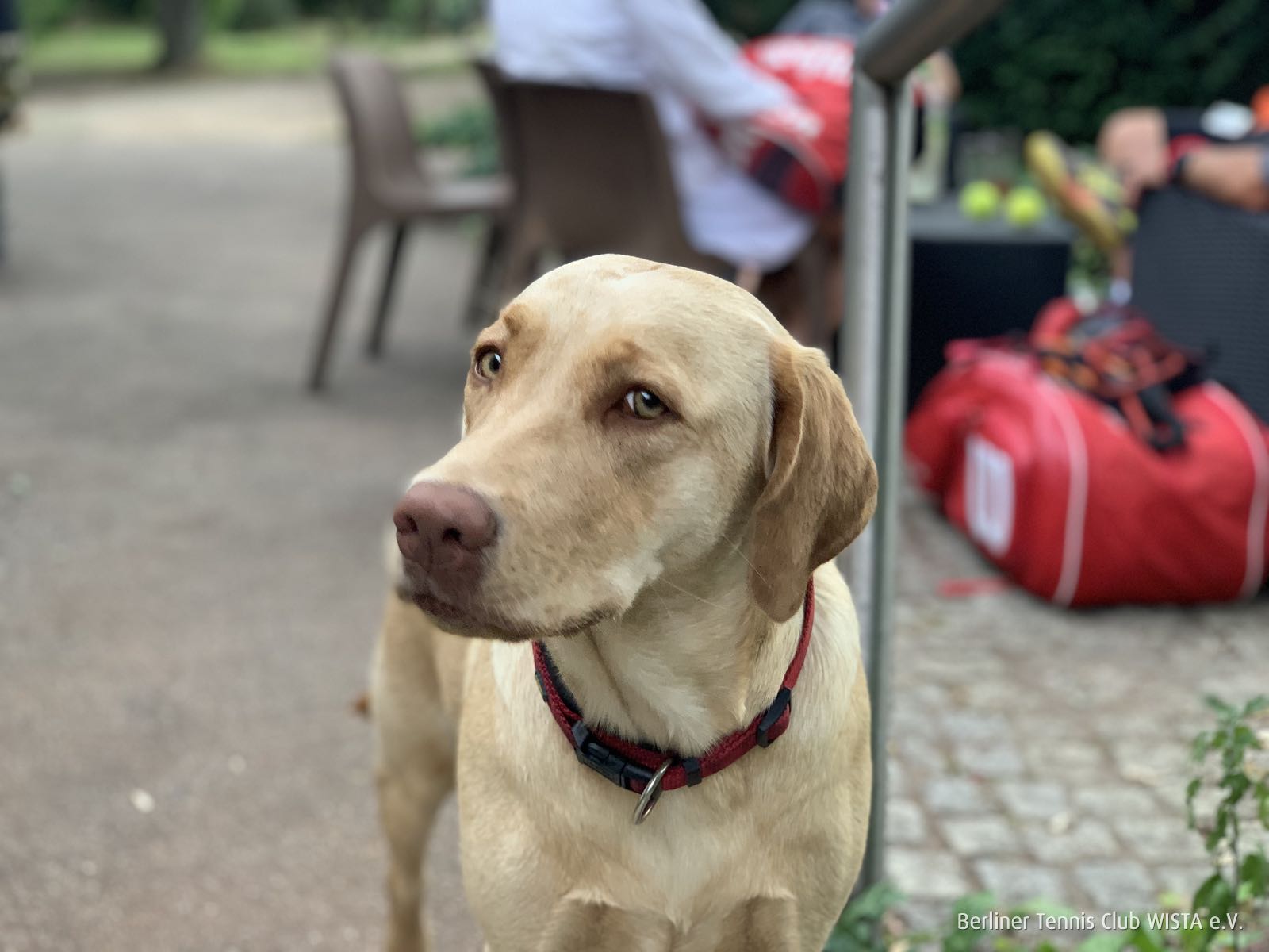 teamcup2021-IMG 3096